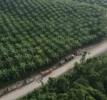 WhatsApp Image 2024-11-03 at 13.07.49_215e26be